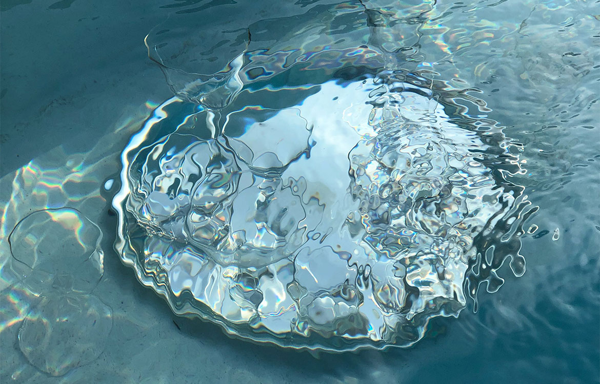 Assainissement autonome et gestion décentralisée des eaux usées