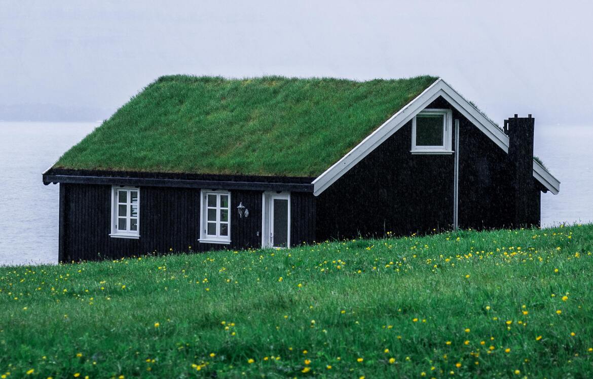 Avantages et inconvénients des toits verts