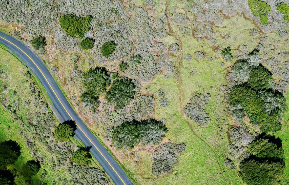 Comment les conditions géographiques des Alpes-Maritimes influent-elles sur la planification des projets de construction routière